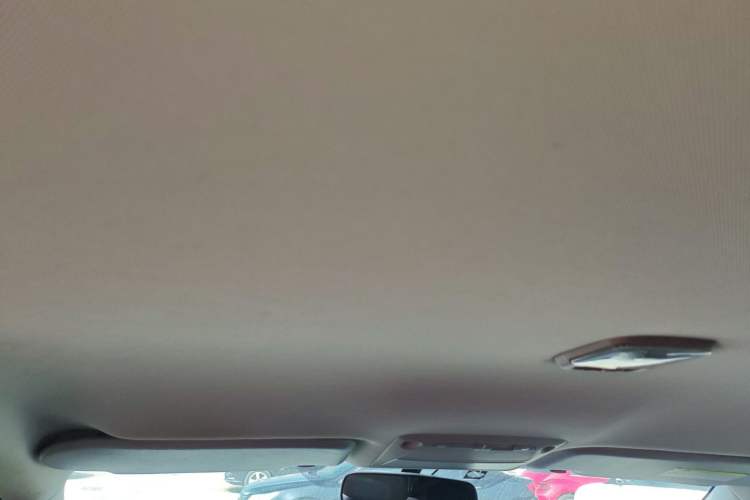 Used Dongfeng Palazzo 2022 2.0T Manual Two-Wheel Drive Luxury Version