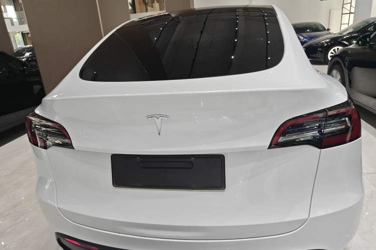 Used Tesla Model Y 2021 Standard Range Rear-Wheel Drive Version