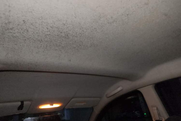 Used Nissan March 2010 1.5L Manual E-Xuan Edition Headliner