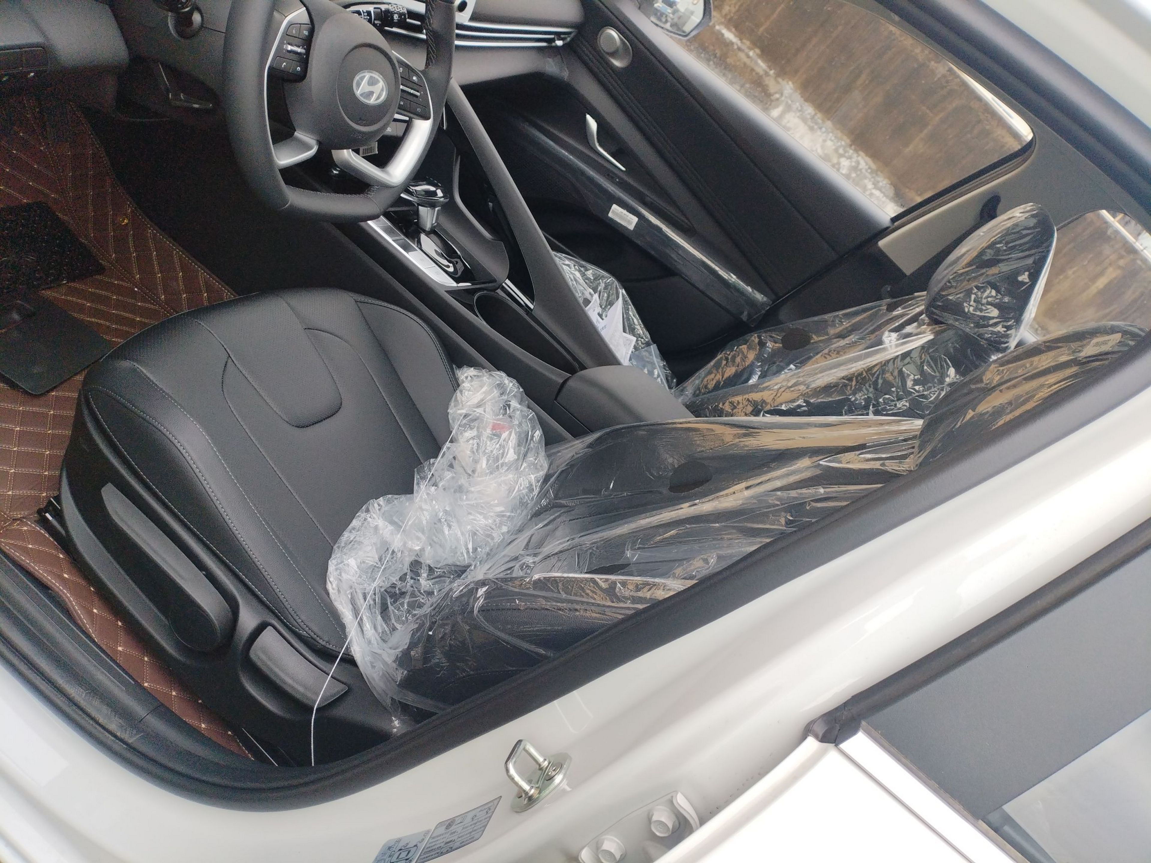 Interior delantero