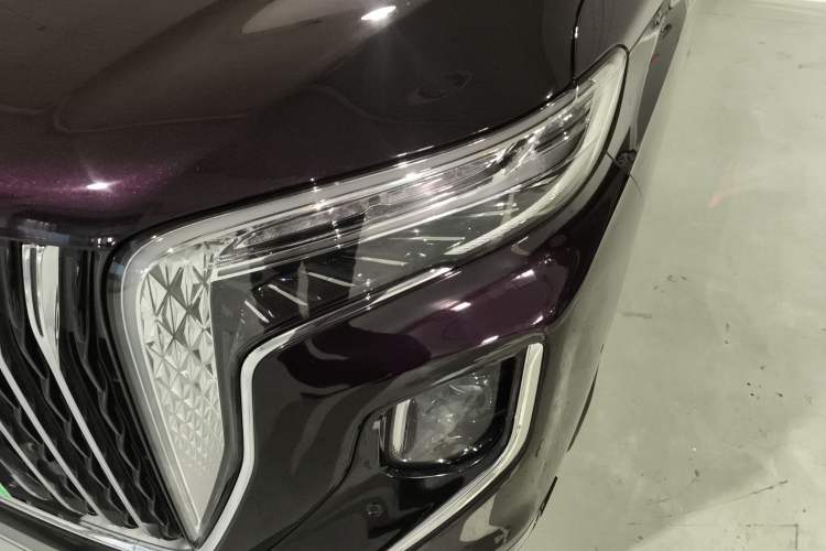 Used Hongqi HQ9 PHEV 2024 2.0T Four-Wheel Drive Luxury Edition
