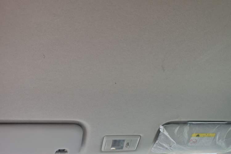 Used Qiyuan Lumin 2023 205km Xiangqin Version
