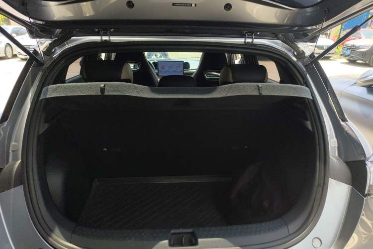 Used BYD Dolphin 2023 420 km Free Version
