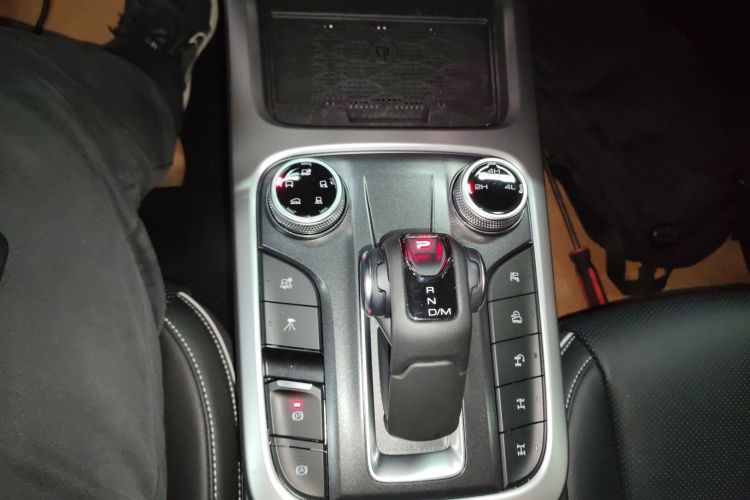 Used Tank 300 2024 2.0T Conqueror