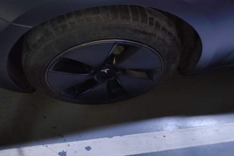 Used Tesla Model 3 2022 Rear-Wheel-Drive Version Exterior 4