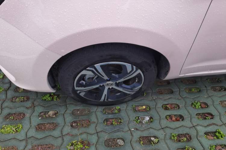 Used Oshan Benni E-Star 2022 Qingxin Edition Colorful Model Lithium Iron Phosphate
