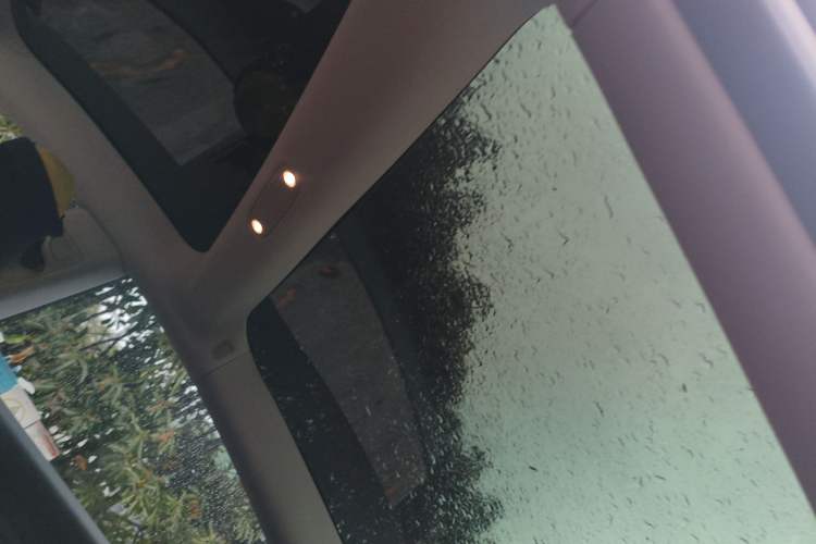 Used Tesla Model 3 2021 Standard Range Rear-Wheel Drive Upgraded Version 3D6 Headliner