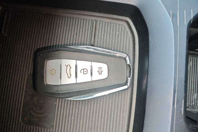Used Livan 9 2023 470 km Founder Edition Vehicle Key