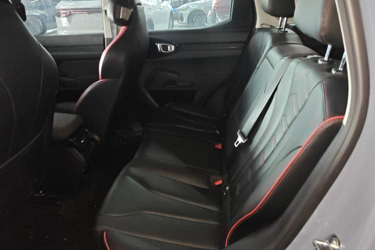 Used Haval X DOG 2022 1.5T DCT Two-Wheel Drive Trendy Edition Left Rear Seat