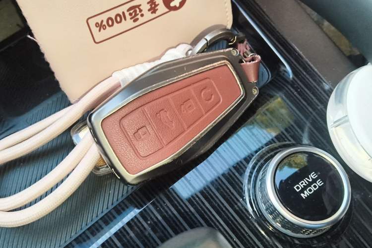 Used Geely Auto Monjaro L 2024 2.0TD High-Power Automatic Two-Wheel Drive Skyline Edition
