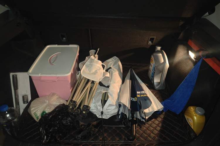 Used Volkswagen Tharu 2019 330TSI Four-Wheel Drive Flagship Model China VI Standard