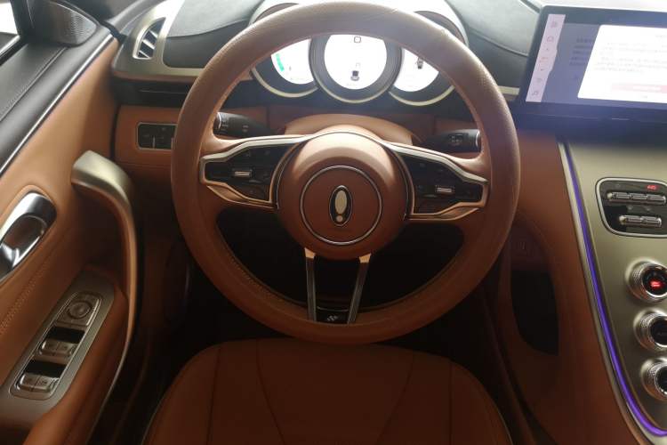 Used ORA Lightning Cat 2022 555 km Luxury Edition Steering Wheel