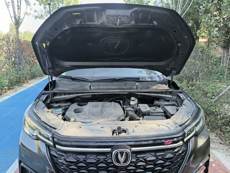 Used CHANGAN CS55PLUS 2022 Blue Whale Edition 1.5T DCT Luxury Model — 19
