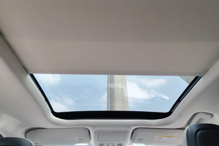 Used Ford Escape 2020 EcoBoost 245 Two-Wheel Drive Smart & Enjoyment Model Headliner