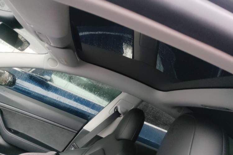 Used Tesla Model 3 2019 Standard Range Rear-Drive Upgraded Version