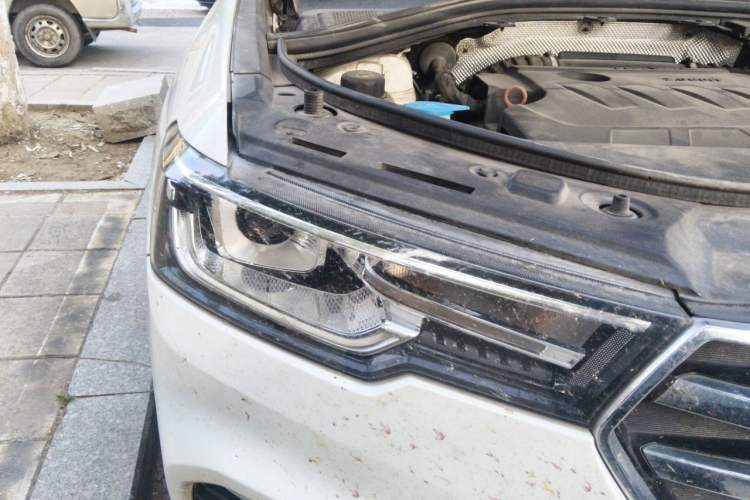 Used Haval H7 2018 Blue-Label H7 2.0T Automatic Enjoyment Model