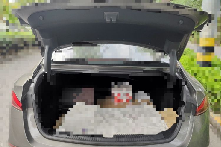 Used Roewe D7 2023 DMH 125km Excellence Edition
