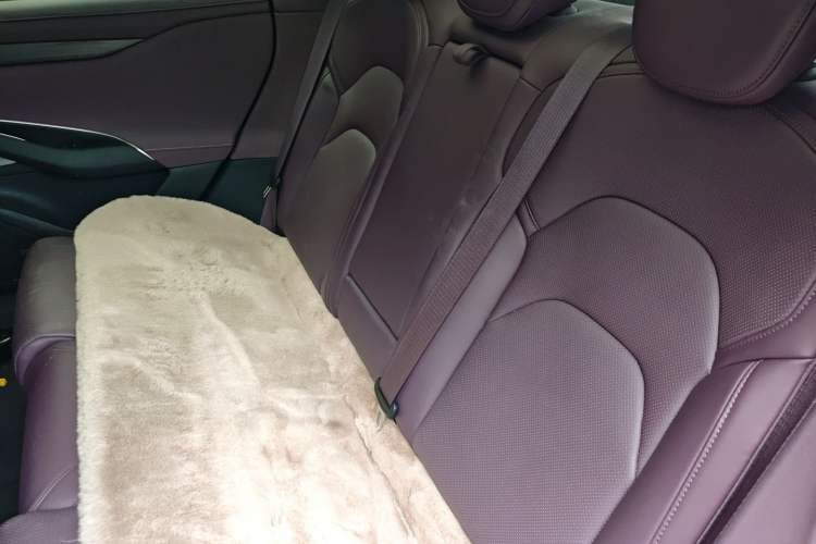 Used Xiaomi Auto SU7 2024 Rear-Drive Standard Founder Edition Left Rear Seat