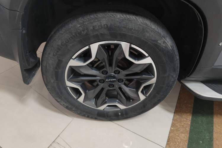 Used Haval DARGO 2022 2.0T DCT 4x4 Chinese Rural Dog Hunting Edition
