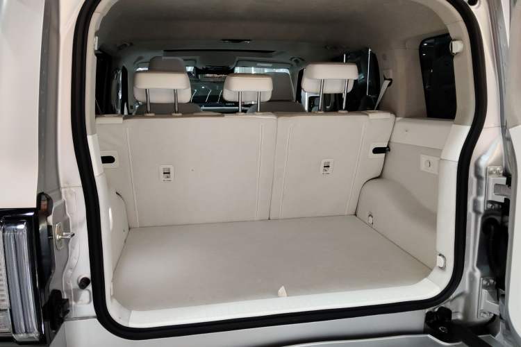 Used Cyberspace Tank 300 2021 2.0T Cyber Tank
