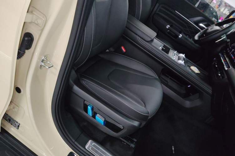 Used Tank 300 New Energy 2024 Hi4-T