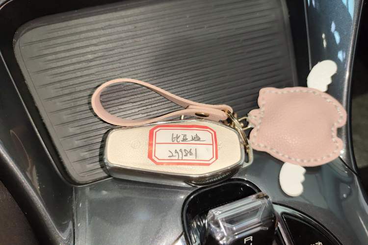 Used BYD e2 2023 Luxury Model
