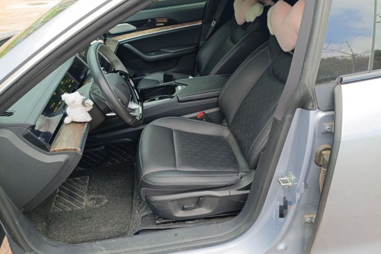 Used NETA S 2024 Range-Extended 1160 Edition Left Front Seat