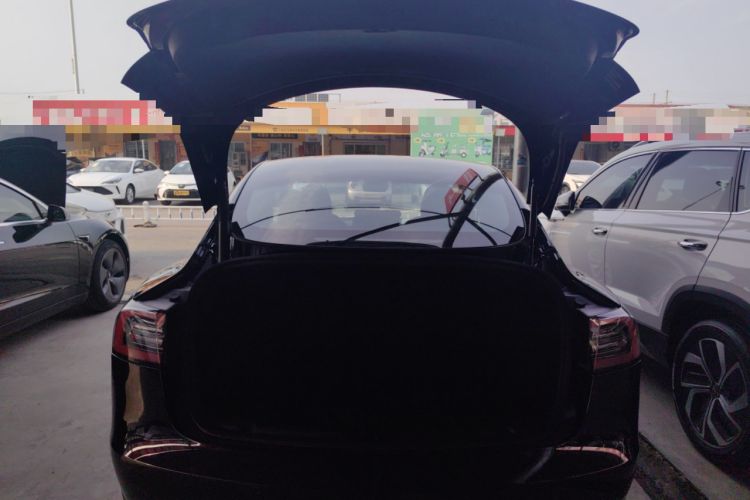 Used Tesla Model 3 2021 Standard Range Rear-Wheel Drive Upgraded Version 3D6
