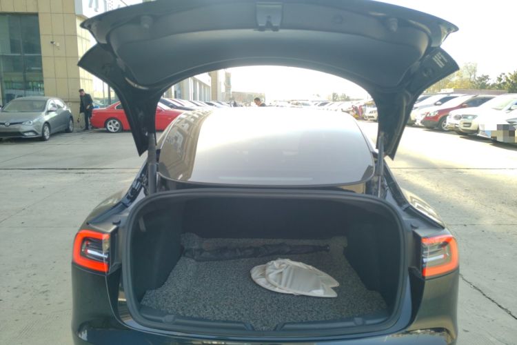 Used Tesla Model 3 2021 Standard Range Rear-Wheel Drive Upgraded Version 3D6
