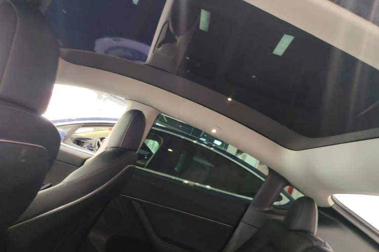 Used Tesla Model Y 2021 Long-Range All-Wheel-Drive Version Headliner