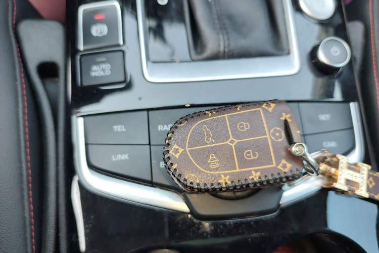 Used BORGWARD BX5 2020 20TGDI Automatic Two-Wheel Drive Pioneer Edition