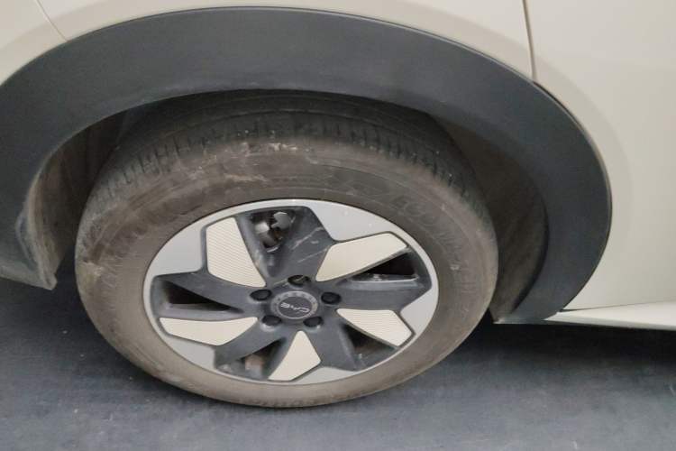 Used BYD Dolphin 2025 420km Free Edition