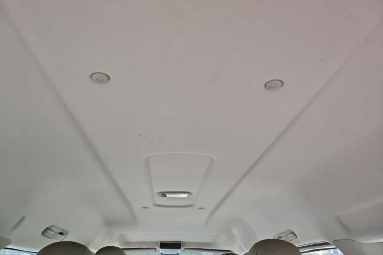 Used FORTHING Lingzhi M5 2020 Long-Range Luxury 7-Seater Model
