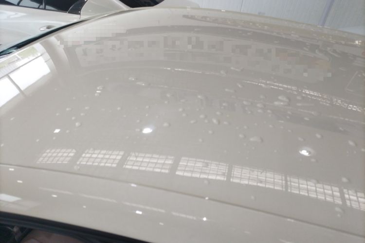 Used BYD Dolphin 2023 420 km Free Version Roof