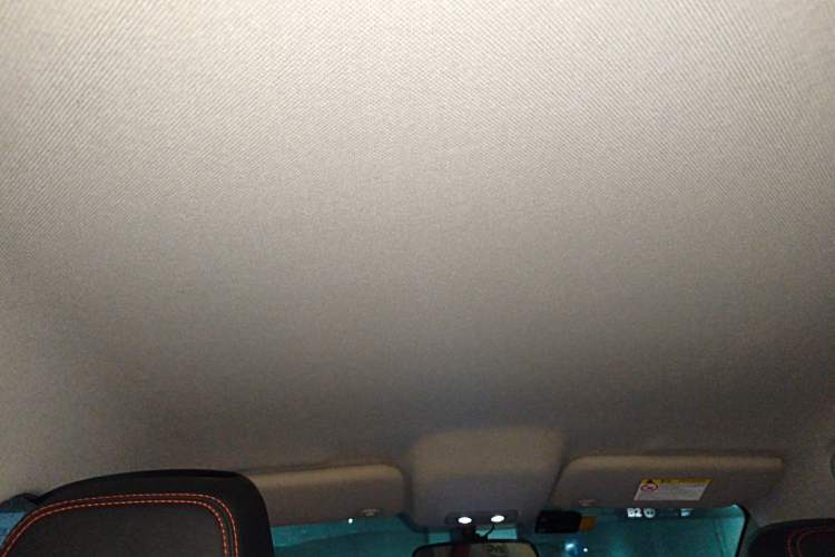 Used BYD e2 2019 Long-Range Version Yao·Luxury Trim Headliner