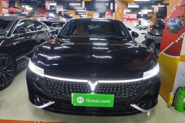 Used VOYAH PASSION 2024 PHEV Four-Wheel Drive Ultra-Long Range Flagship Model