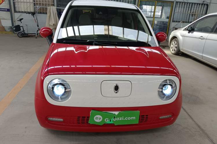 Used ORA Black Cat 2019 351 km Goddess Edition
