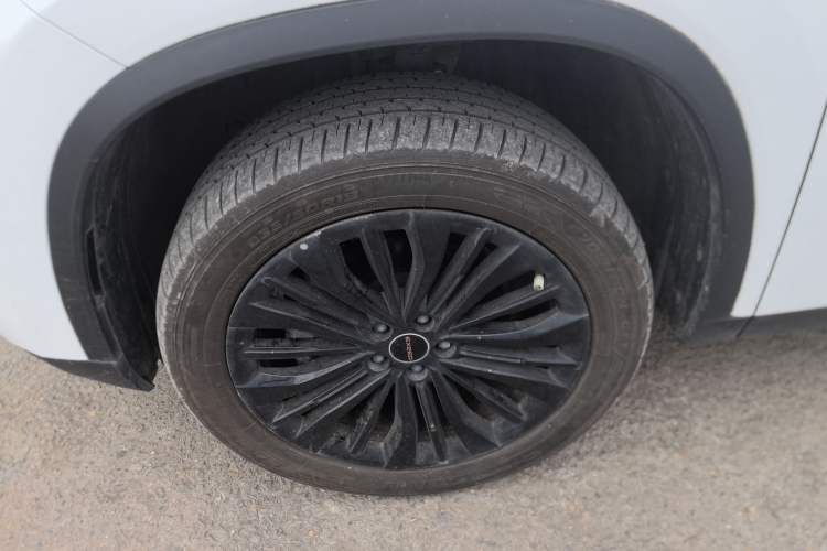 Used EXEED Lingyun 2024 300T Two-Wheel Drive Starlight Edition