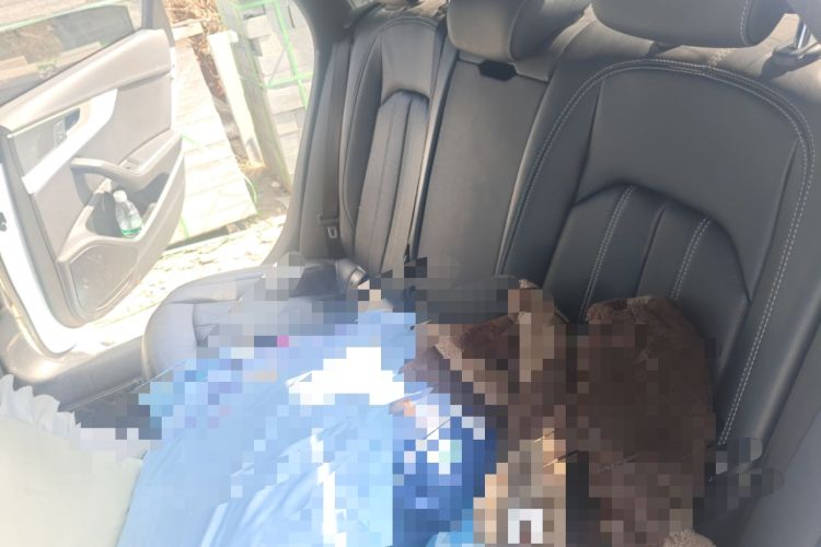 Used Audi A4L 2022 40 TFSI Luxury Dynamic Model
