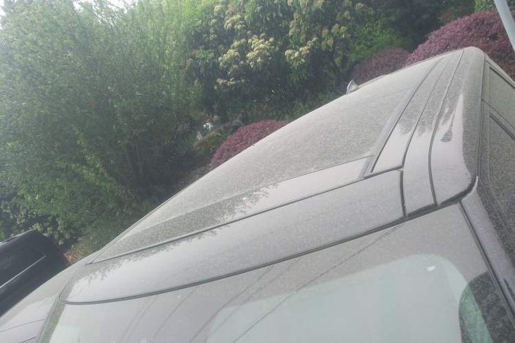 Used Land Rover Range Rover Sport 2021 3.0 L6 YAO Black Edition