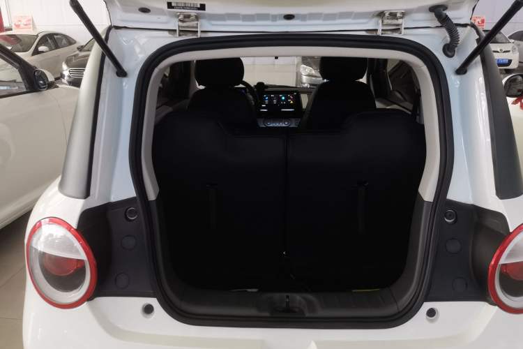 Used Qiyuan Lumin 2023 205km Xiangqin Version
