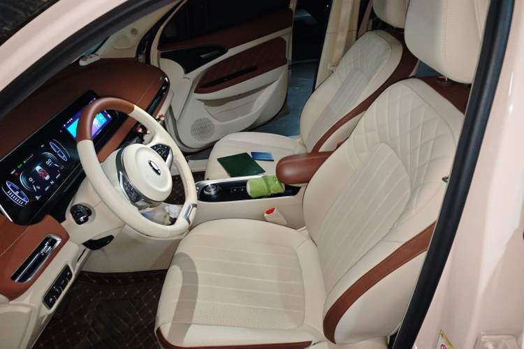 Used ORA Good Cat 2022 400km Standard Range Premium Version Lithium Iron Phosphate Left Front Seat