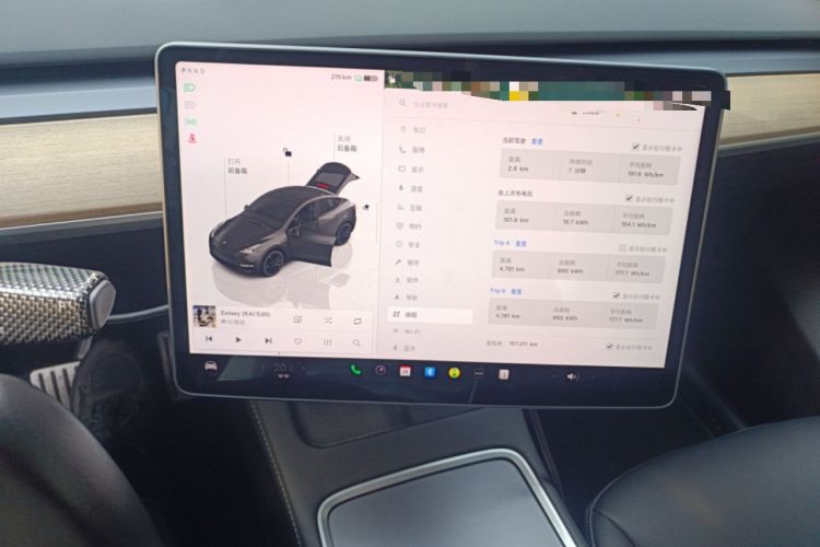 Used Tesla Model Y 2021 Performance High-Performance All-Wheel-Drive Version
