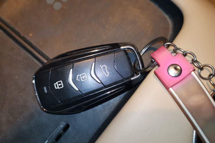 Used Landian E5 PLUS 2025 165 km Long-Range Travel Custom Edition 7 Seats
