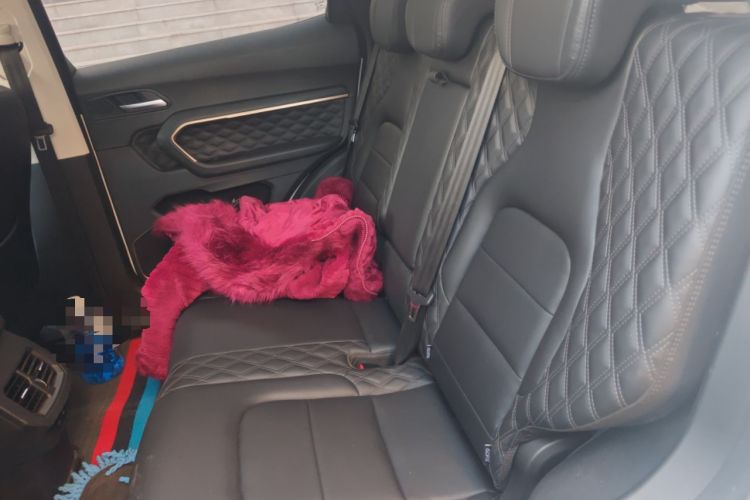 Used Haval H6 2021 1.5T Automatic Champion Edition Left Rear Seat