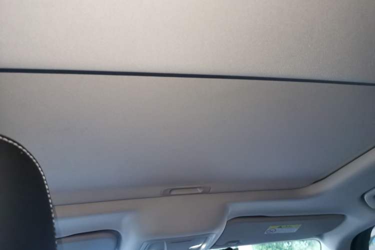 Used Tank 300 2021 Off-Road Edition 2.0T Conqueror Headliner