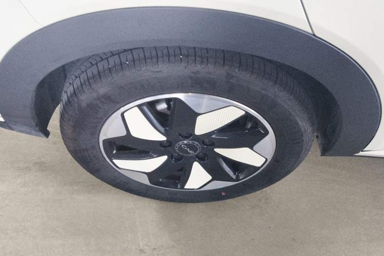 Used BYD Dolphin 2025 420km Free Edition