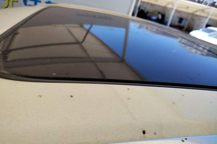 Used Geely Auto Monjaro 2019 300T YAOXINGZHE