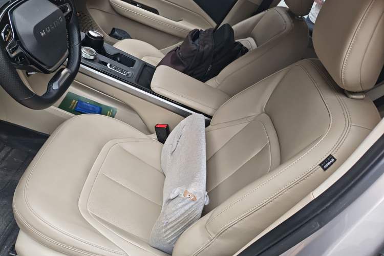 Used Wuling Xingguang 2024 Co-Creation Edition 510 Advanced Model