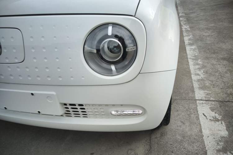 Used ORA Black Cat 2021 351 km Luxury Version
